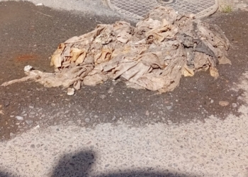TOALETA SI CANALIZAREA NU SUNT COS DE GUNOI!